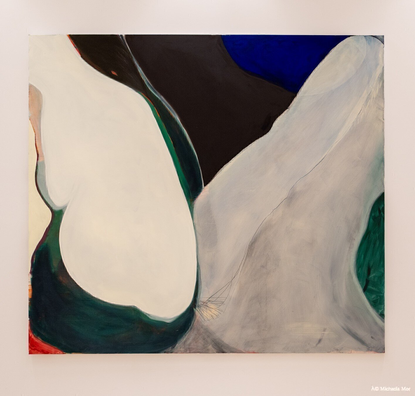 Phantom Body and Its Flesh